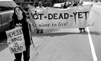 March with NDY Banner March with NDY Banner